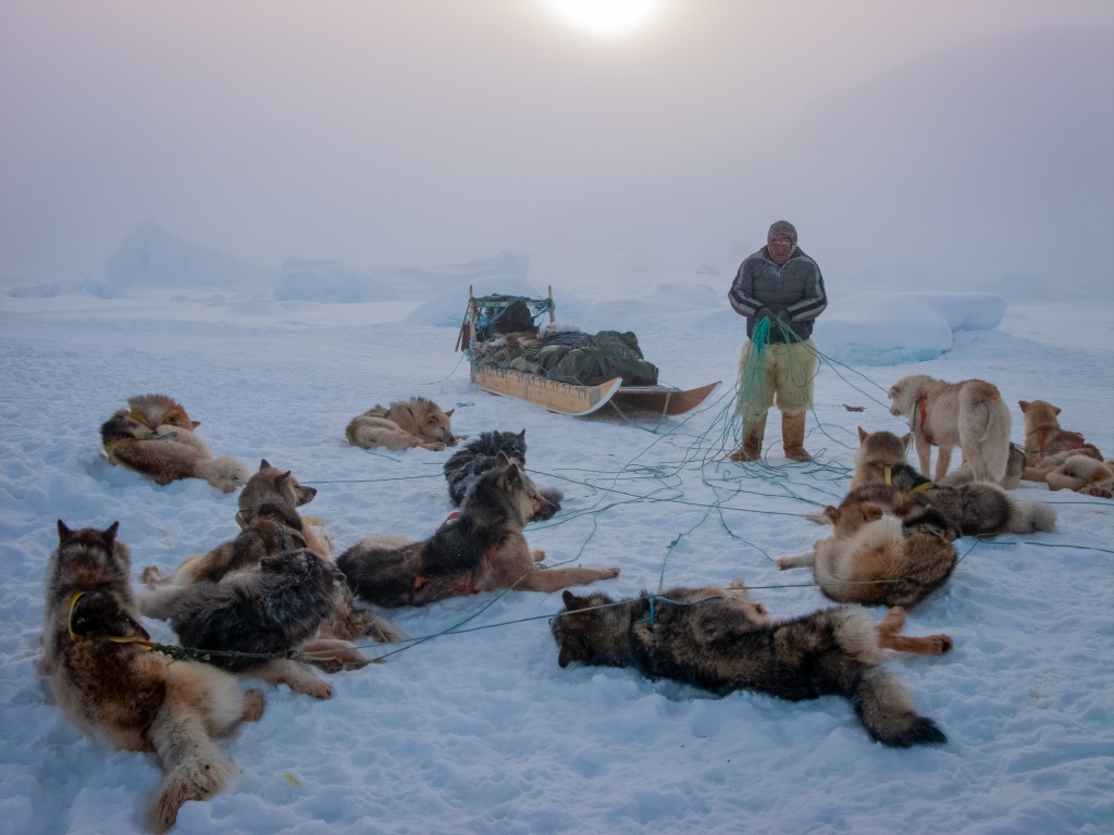 International Pet Photographer of the Year Awards category Finalist