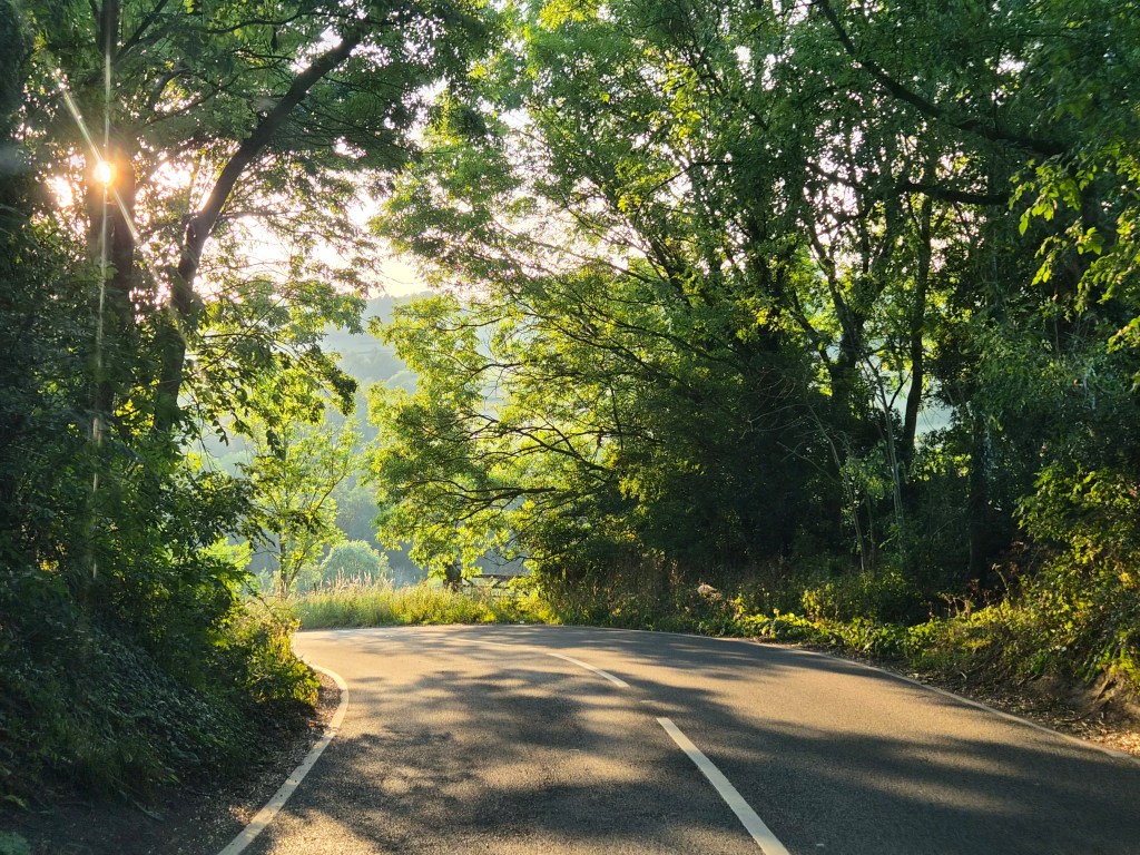Samsung Galaxy S26 - 2x zoom used in golden hour. Photo JW