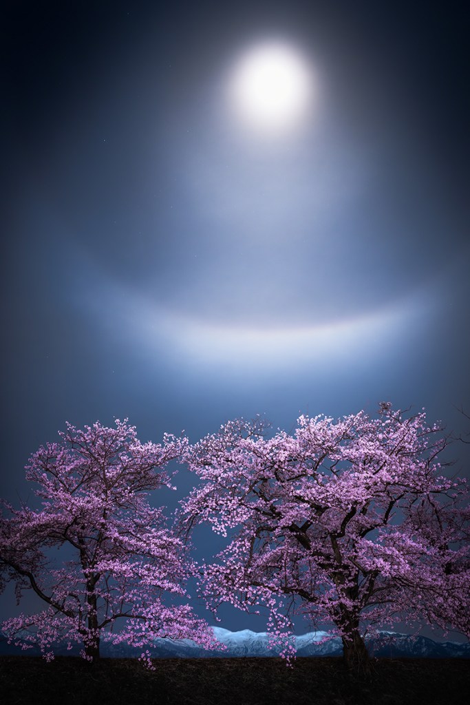 Setsu-getsu-ka © Takanobu Kurosaki (Japan)