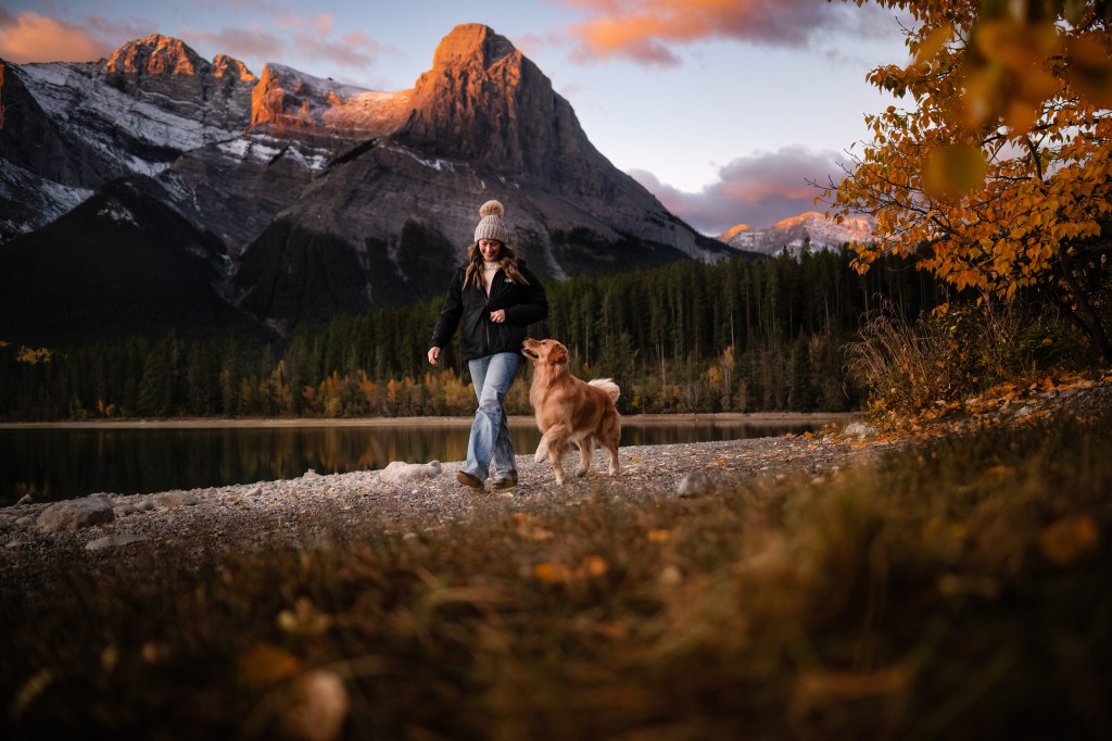 International Pet Photographer of the Year Awards Finalist