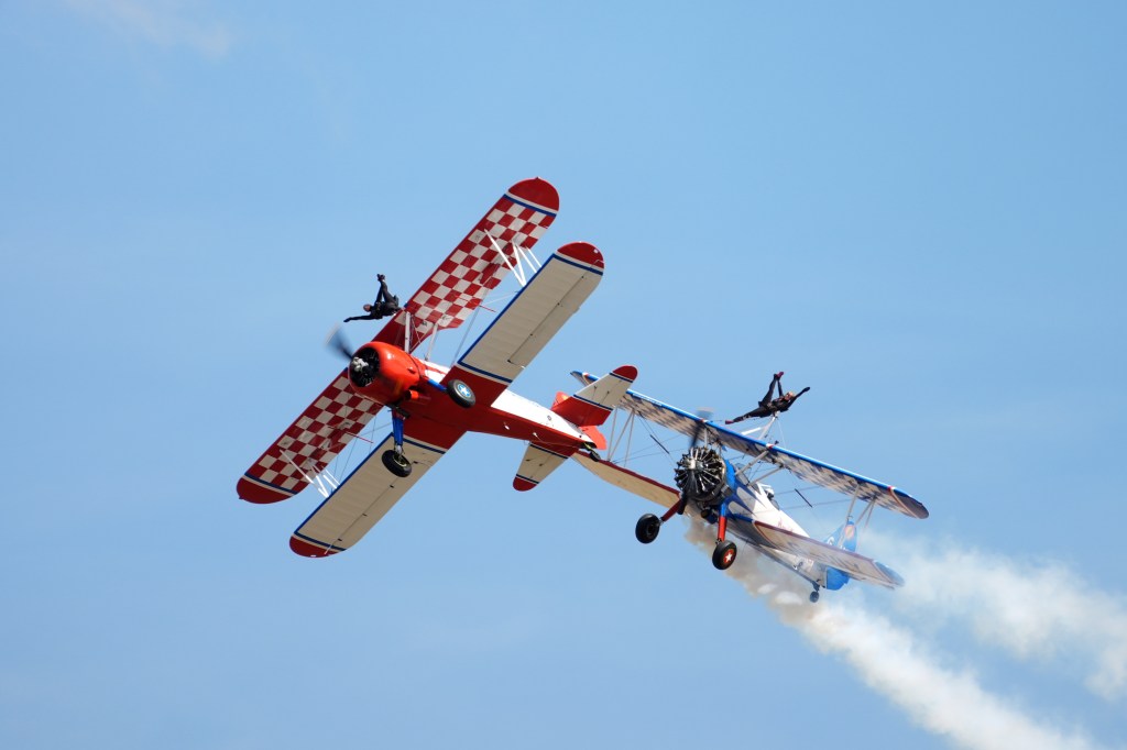 Sony RX10 V wing walkers sample image.