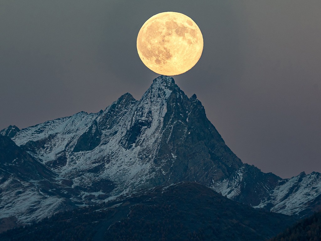 Watched by the Moon © Jean-François Gely (France)