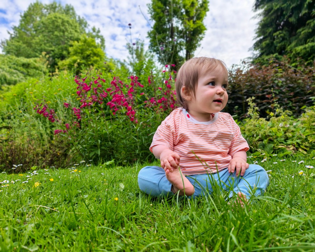 Honor Magic V6 sample, a baby sitting on the grass