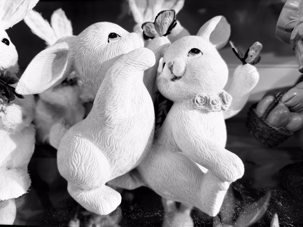 Bunnies!
