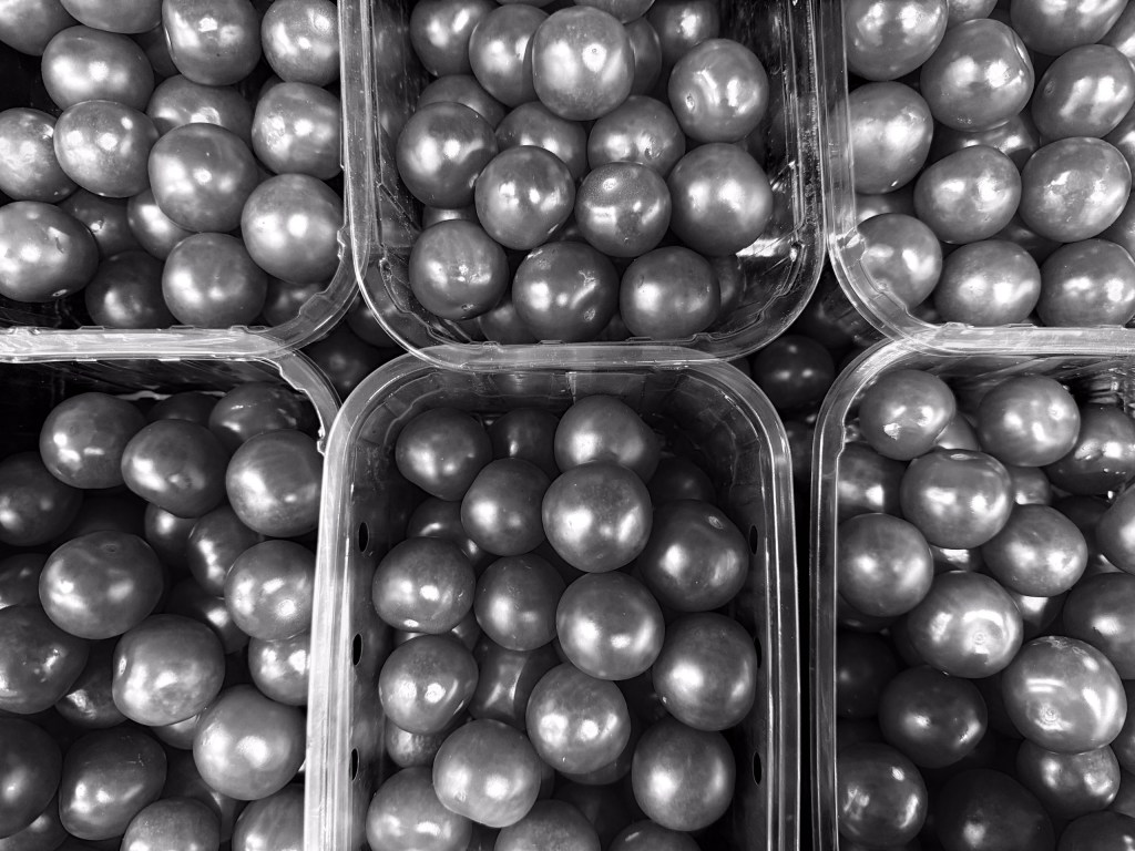 Tomatoes in tubs
