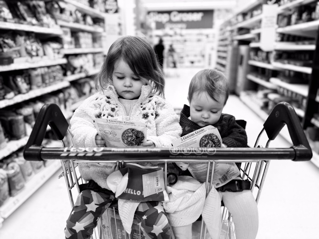 Two children sitting in a shopping trolley
