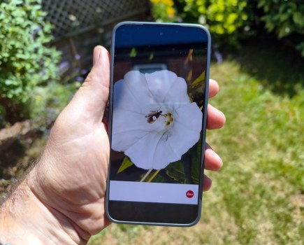Xiaomi 17T Pro review