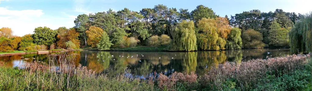 Digital picture shot with a Panasonic Lumix LX100 using its panoramic mode
