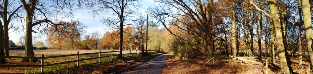 Panoramic picture made by combining three digital images using Photoshop’s photomerge tool
